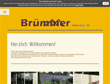 Tablet Screenshot of bruemmer.tv